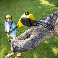 Best Utility Line Clearance  in Listoga, CA