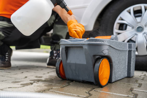 Best Pest Control for Lawns  in Listoga, CA